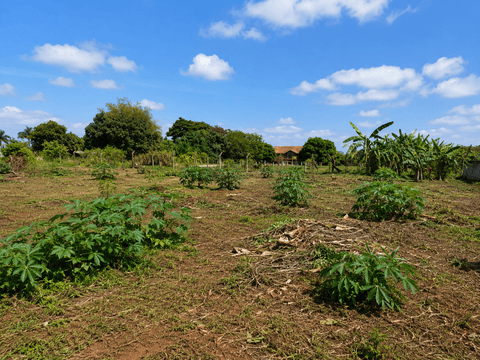 Área à venda em Artur Nogueira, Recanto das Flores, com 3166.12 m²