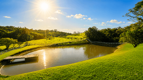 Sítio à venda em Artur Nogueira, Bom Retiro, com 3 quartos, com 220000 m²